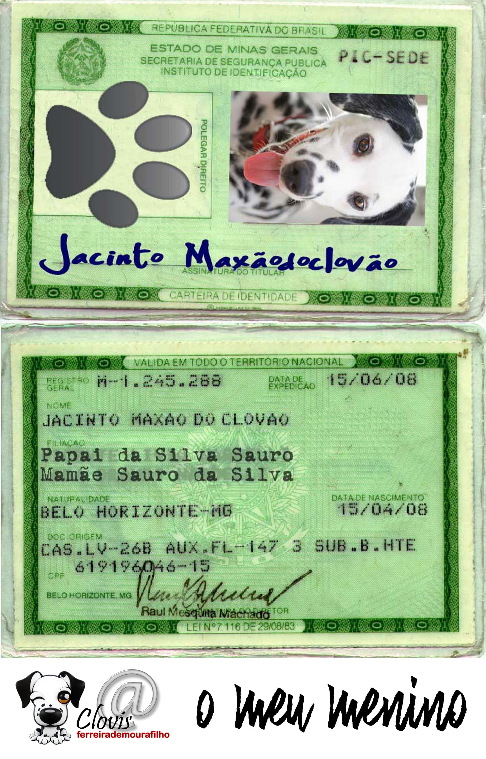 Capa do livro O Amorzão da minha vidinha